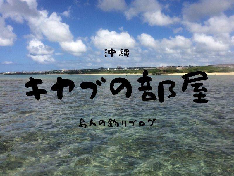 キヤブの部屋　沖縄島人の釣りブログ